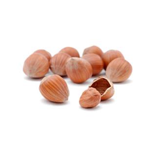 Haselnüsse in der Schale