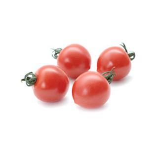 Tomate Ruthje
