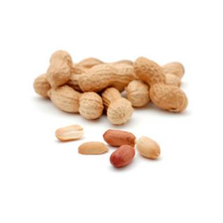 Erdnüsse in der Schale geröstet