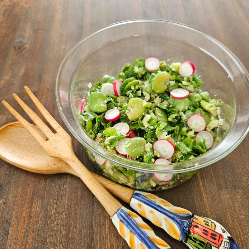 Frischer Dicke Bohnensalat mit Radieschen, Rucola