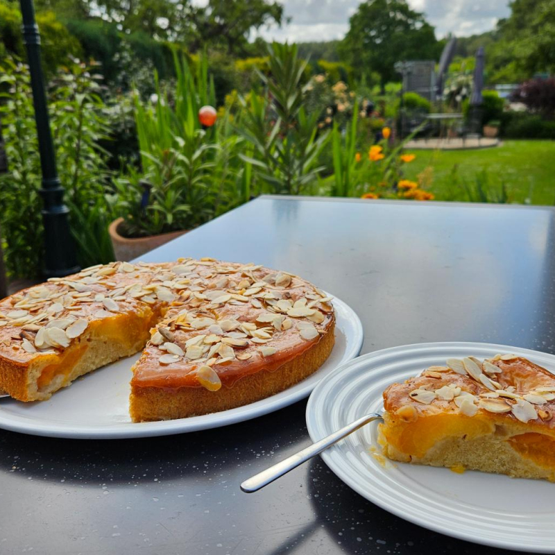 platzhalter