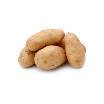 Laura Kartoffel vorwiegend festkochend