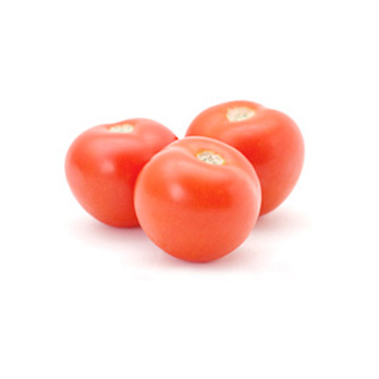 Tomate Strauch
