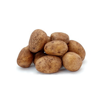 Linda Kartoffel festkochend