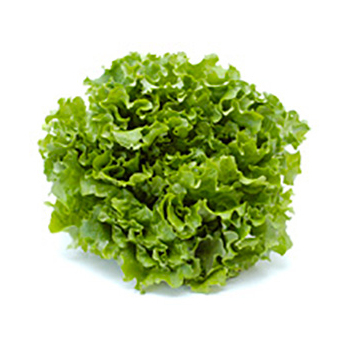 Batavia Salat