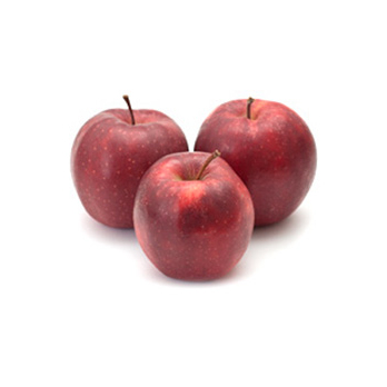 Apfel Red Prince