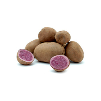 Kartoffel "blaue Anneliese" (ab dem 09.03.2026)