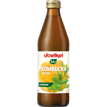 Kombucha Original klein