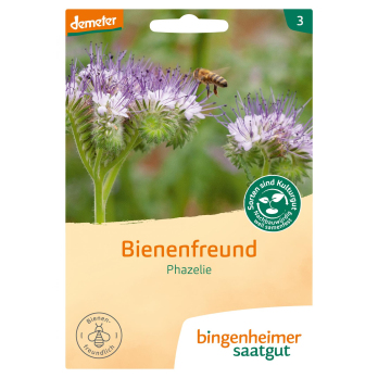 Saatgut Bienenfreund (Phazelie)