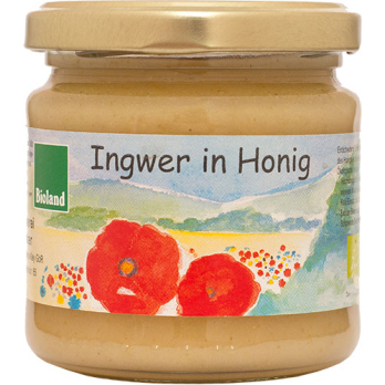 Ingwer in Honig