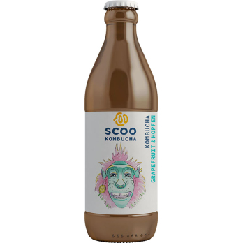 Kombucha Grapefruit & Hopfen