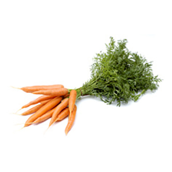 Bundmöhren gelb/Orange